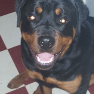 Meet your Posher, Krista